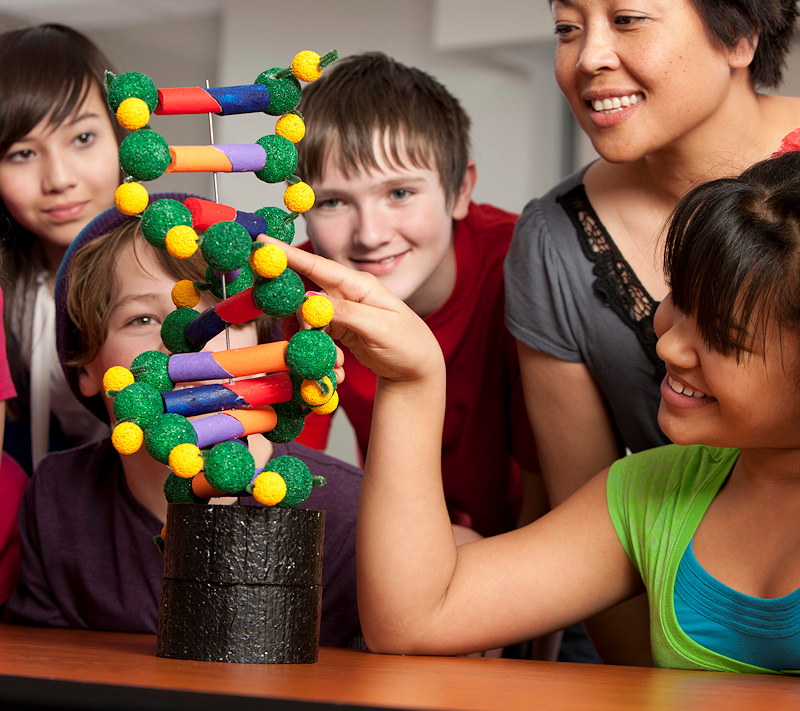 Teacher teaching students about DNA